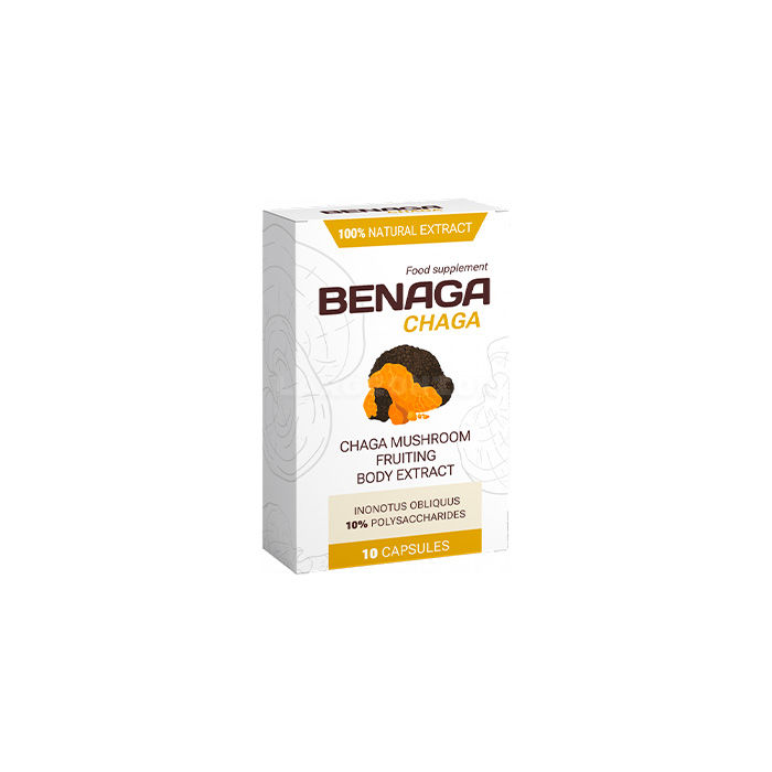Benaga Chaga
